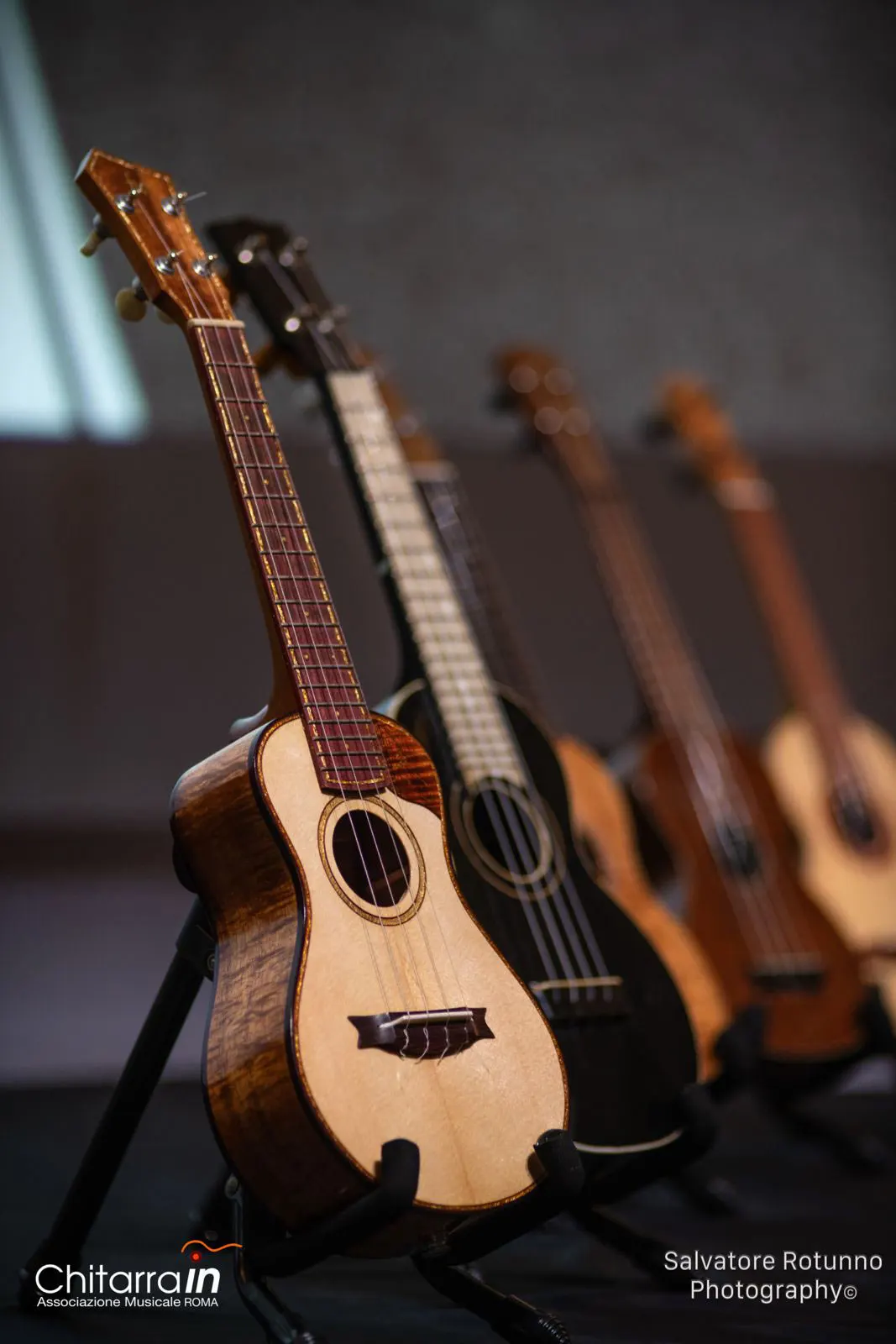 Verginelli_Concert_ukulele Verginelli_Concert_ukulele